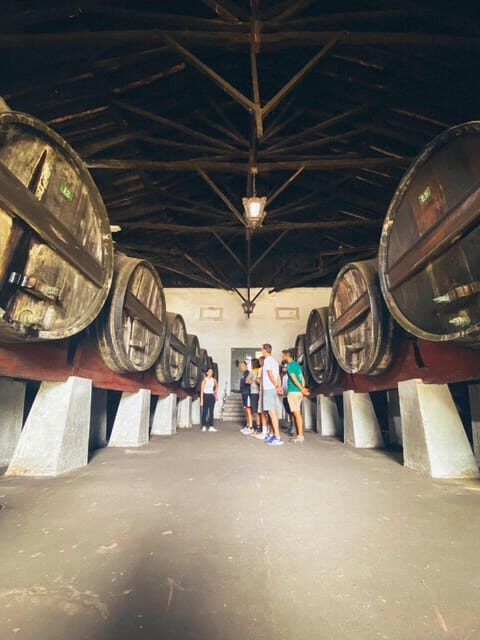 Nazaré - Óbidos E-bike and Wine tour - Key Points