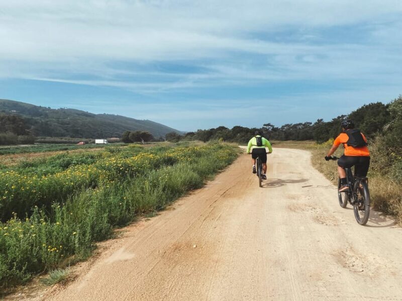 Nazaré-São Martinho E-bike tour - Itinerary Breakdown and Highlights