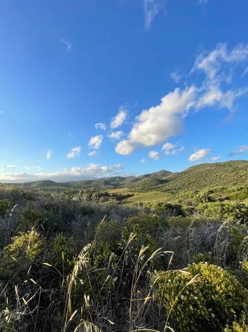 Near Cagliari: Almond Blossom Magic at "In Our Garden" (new) - The Guided Almond Grove Tour