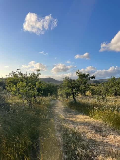 Near Cagliari: Almond Blossom Magic at "In Our Garden" (new) - Tasting Traditional Almond Sweets