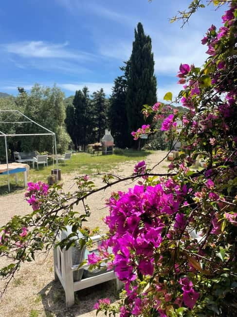 Near Cagliari: Almond Blossom Magic at "In Our Garden" (new) - Practical Details and What to Expect