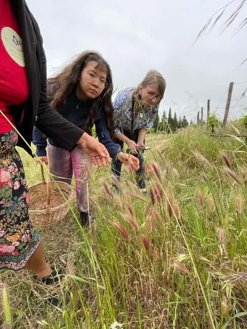 Near Cagliari: Wild Herbs and Healing at "In Our Garden" - Key Points