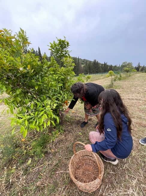 Near Cagliari: Wild Herbs and Healing at "In Our Garden" - The Sum Up