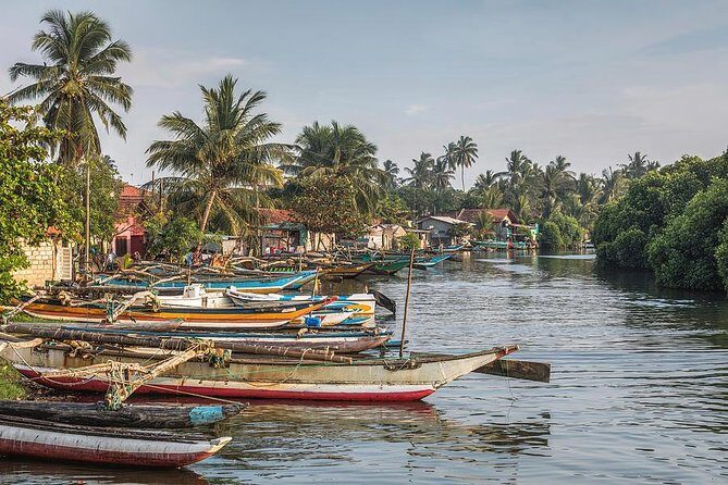 Negombo City And Fishing Village Private Day Tour From Colombo - A Closer Look at the Negombo City and Fishing Village Private Day Tour from Colombo