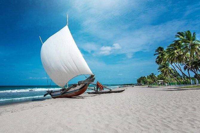 Negombo City And Fishing Village Private Day Tour From Colombo - Key Points