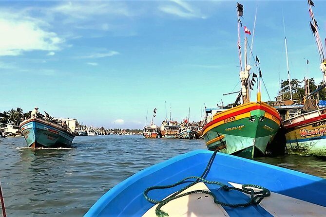 Negombo City Tour - What to Expect from the Experience