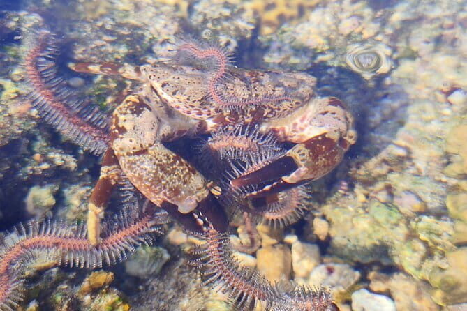 Neil Bridge Marine Trail - An In-depth Look at the Neil Bridge Marine Trail