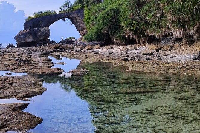 Neil Bridge Marine Trail - The Sum Up: Who Should Consider This Tour?