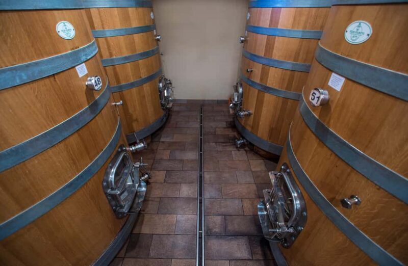 NEIVE: WINERY TOUR AND TASTING OF 5 WINES - A Deep Dive into the Experience