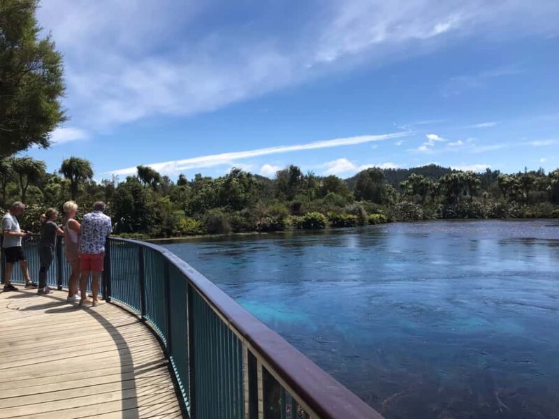 Nelson: Abel Tasman Cruise-Fly Day Tour - An In-Depth Look at the Tour