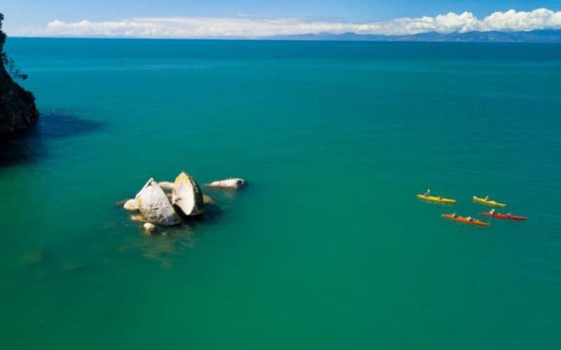 Nelson: Abel Tasman Kayaking & Great Taste Trail Bike Tour - What Makes This Tour Stand Out?