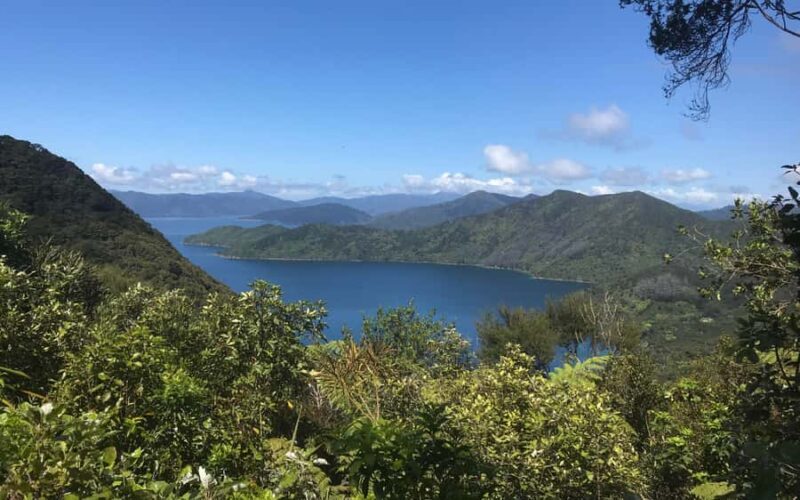 Nelson: Abel Tasman Kayaking & Great Taste Trail Bike Tour - Frequently Asked Questions