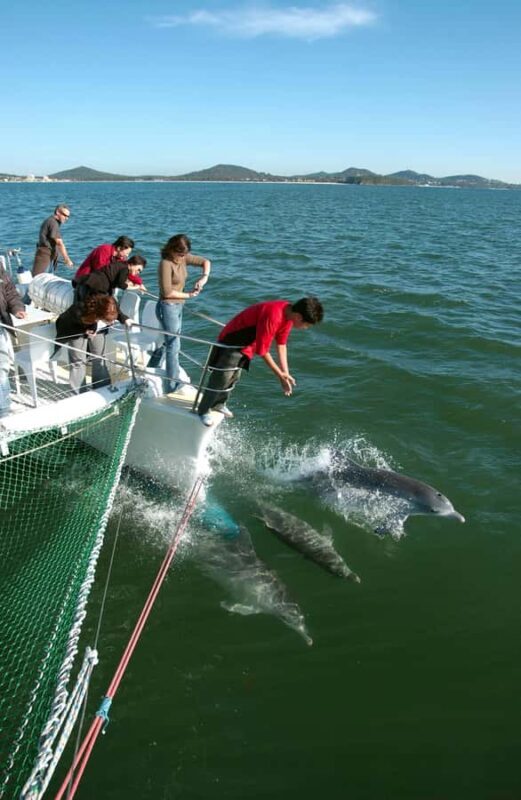 Nelson Bay: Dolphin Watch Cruise and Sail - What Makes the Cruise Stand Out?