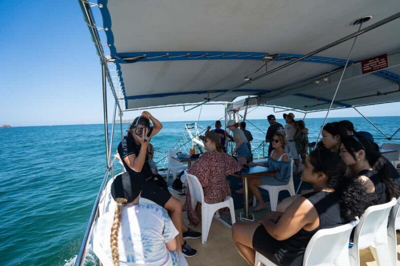 Nelson Bay: Marine Discovery Cruise with Snorkeling - Who Should Consider This Tour?