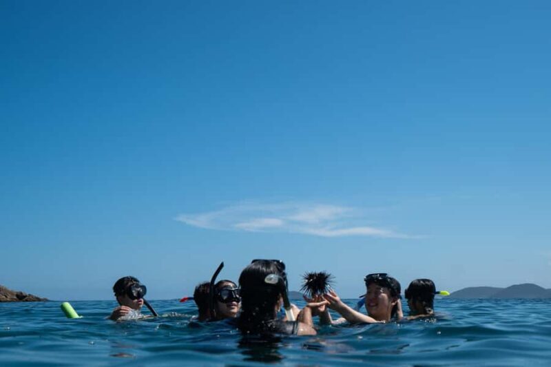 Nelson Bay: Marine Discovery Cruise with Snorkeling - The Sum Up