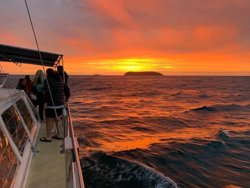 Nelson Bay: Whale and Dolphin Watching Catamaran Cruise - FAQ