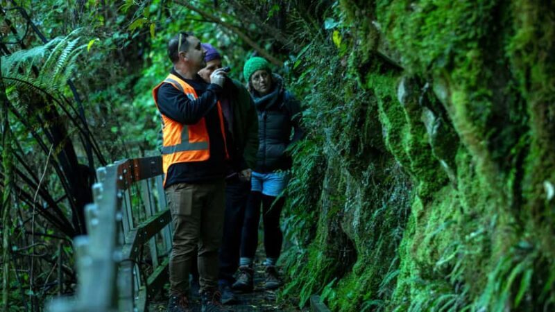 Nelson: Brook Waimrama Sanctuary Guided Night Walk - Key Points