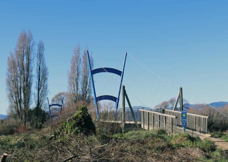 Nelson: Great Taste Trail Coastal Bike Ride to Mapua - The Value for Money