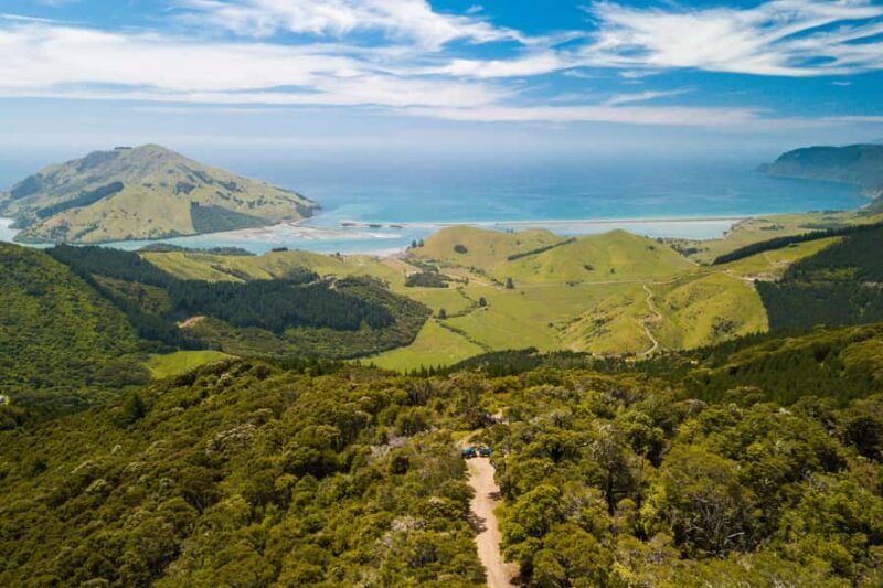 Nelson: Guided Quad Biking Tour Through Forest and Farmland - A Closer Look at the Experience