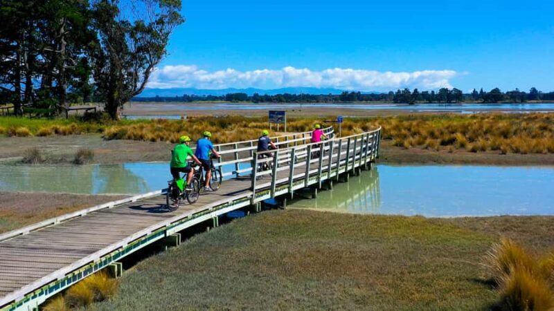 Nelson to Mapua: Full-Day Cycling Self-Guided Adventure - An In-Depth Look at the Nelson to Mapua Cycling Tour