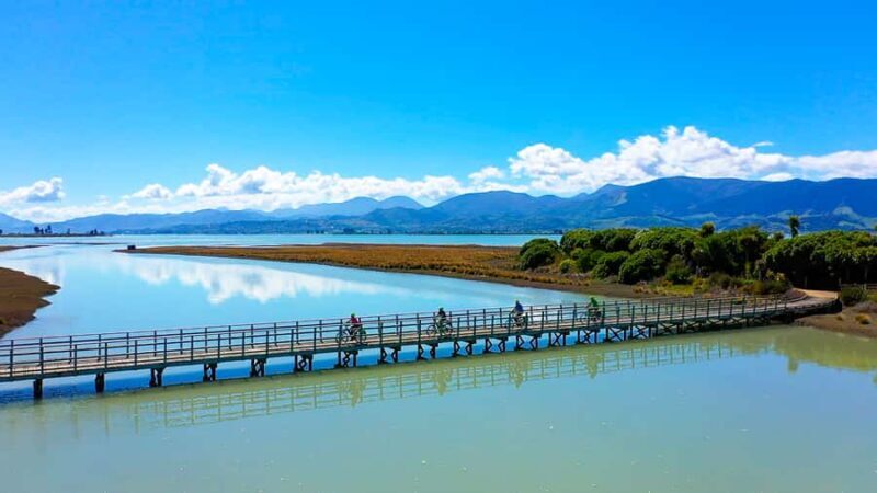 Nelson to Mapua: Full-Day Cycling Self-Guided Adventure - Who’s This Tour Best For?