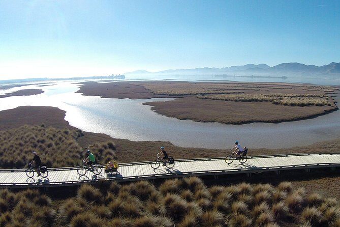 Nelson to Mapua: Full-Day Self-Guided Cycling Adventure - Key Points