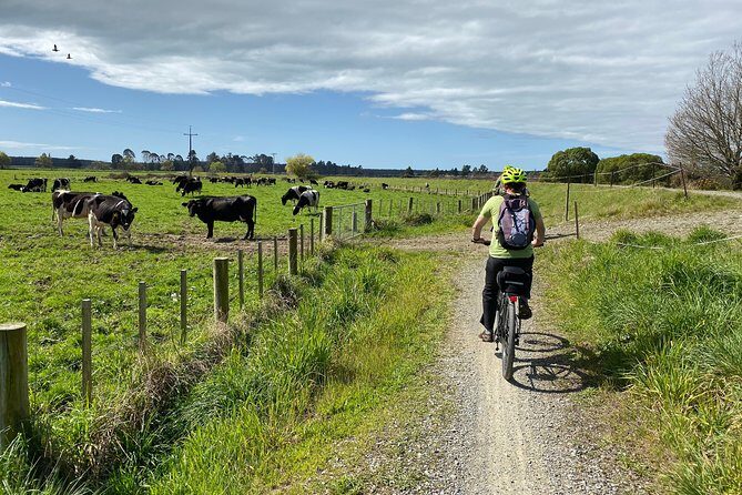Nelson to Mapua: Full-Day Self-Guided Cycling Adventure - Final Thoughts