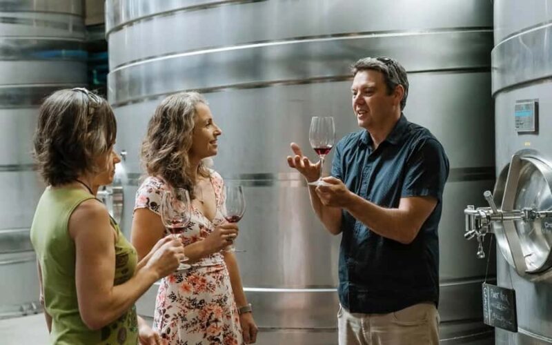 Nelson: Wine Tour with Tastings and Lunch - Who Would Love This Tour?