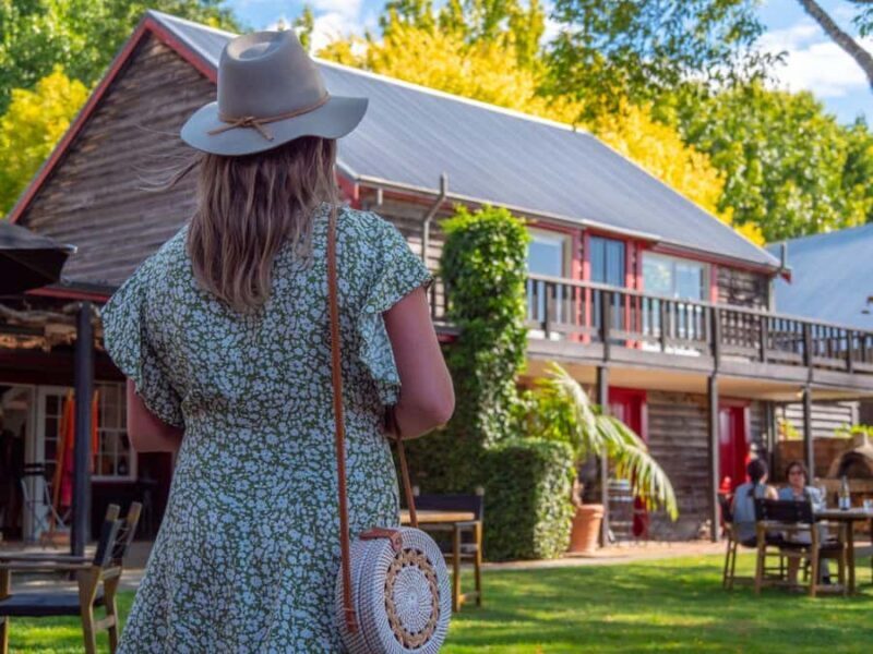 Nelson: Wine Tour with Tastings and Lunch - The Overall Experience — Is It Worth It?