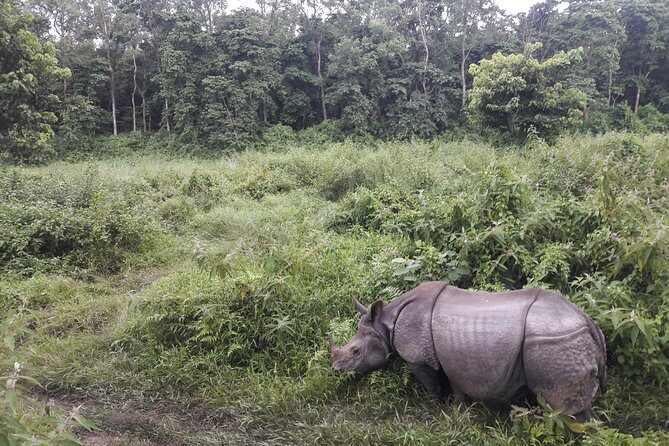 Nepal Family Fun Tour Experience - 12 Days - What Makes This Tour Stand Out?