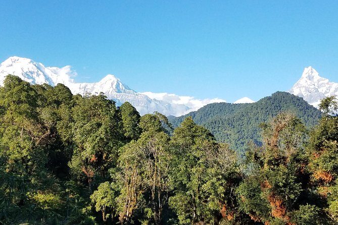 Nepal Family Fun Tour Experience - 12 Days - FAQs