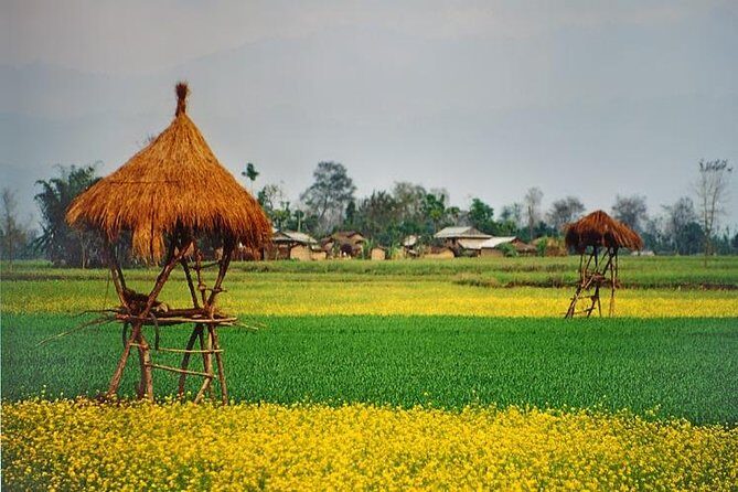 Nepal Highlights Tour - 8 Days - Key Points