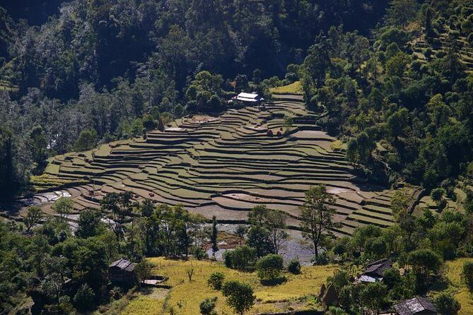 Nepal Round Tour with Annapurna Trek 14 Days - Why This Tour Offers Great Value
