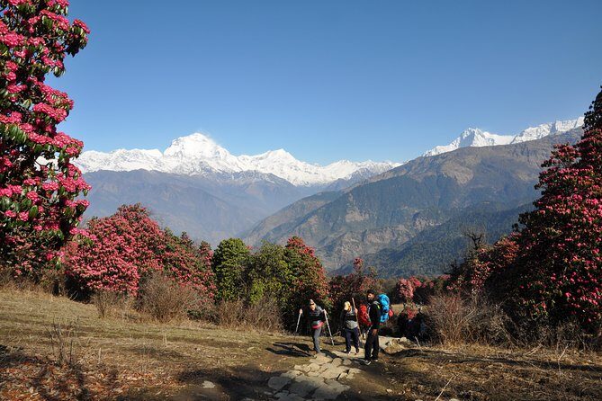 Nepal Round Tour with Annapurna Trek 14 Days - Who Is This Tour Best For?