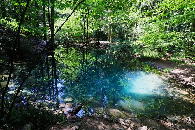Nera Gorge National Park - Private Day Tour from Timisoara - Key Points