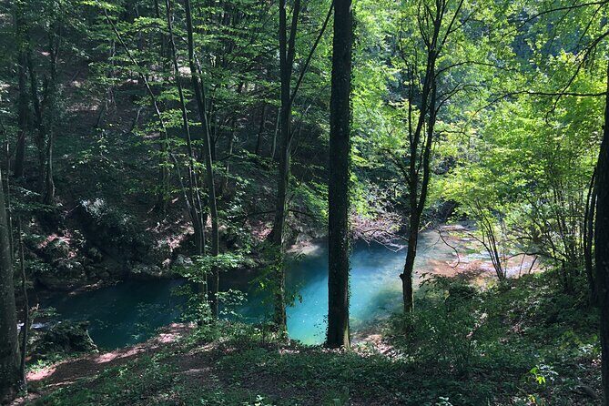 Nera Gorge National Park - Private Day Tour from Timisoara - Final Thoughts