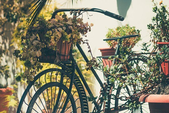 Nerja (Pueblo) + Frigiliana & El Acebuchal - Semi-Private - El Acebuchal: The Village Reborn