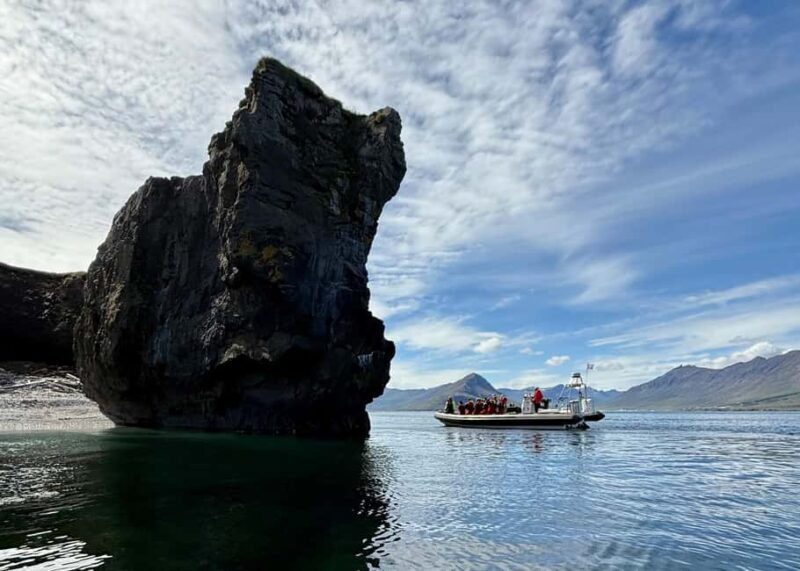 Neskaupstaður: RIB Boat Tour with Drink - What the Tour Entails: A Day in the Fjords