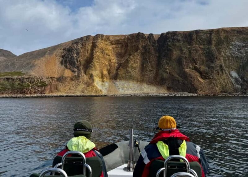 Neskaupstaður: RIB Boat Tour with Drink - Rauðubjörg Cliffs: Nature’s Vivid Cathedrals