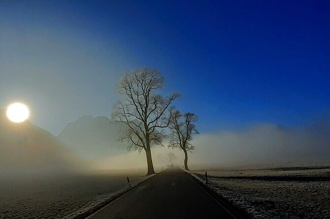 Neuschwanstein Exclusive Romantic Winter Tour INCL. TICKETS - Adding Seasonal Magic: Horse-Drawn Carriage or Christmas Markets