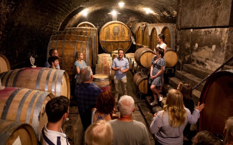 Neustadt: Wine tasting with cellar tour and vineyard tour - Who Would Enjoy This Tour?