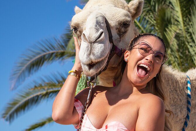 NEW! Combo Camel Beach Ride and UTV 4X4 Cabo Adventure, Tequila & - The Itinerary: What You Can Expect