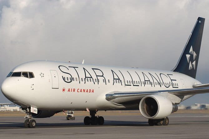 New Delhi to Jaipur Private Transfer - Who Is This Transfer Best For?