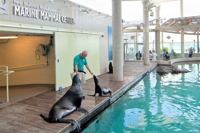 New England Aquarium Admission Ticket in Boston - What To Expect on Your Visit