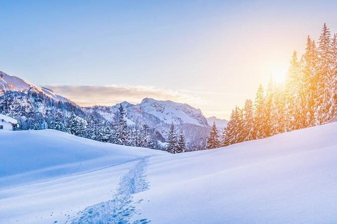 New Fiat 500X (SUV) Rental (all day) - Why Choose This Fiat 500X Rental in Florence