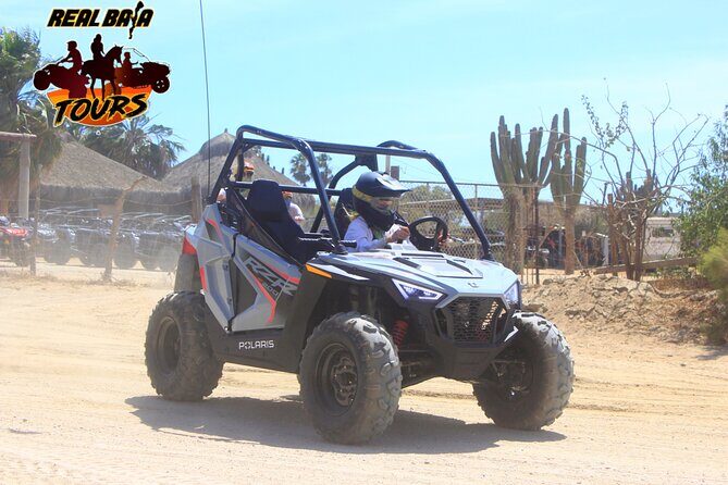 New!!! Kids Off Road Experience Automatic Mini RZR Beach & Desert - Practical Tips for Booking and Enjoying Your Tour