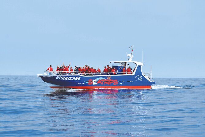 NEW Lagos-Watching Dolphins and Benagil Cave with Biologists - Key Points