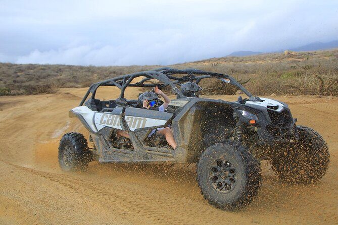 NEW! Off-Road Cabo Adventure: Beach & Desert Ride Tequila Tasting - Who Will Love This Tour?