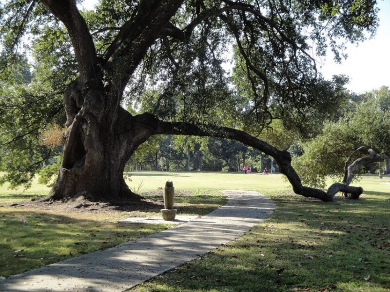 New Orleans: 2-Hour 15-Minute City and Cemetery Tour by Bus - Experience Breakdown: What You Can Expect