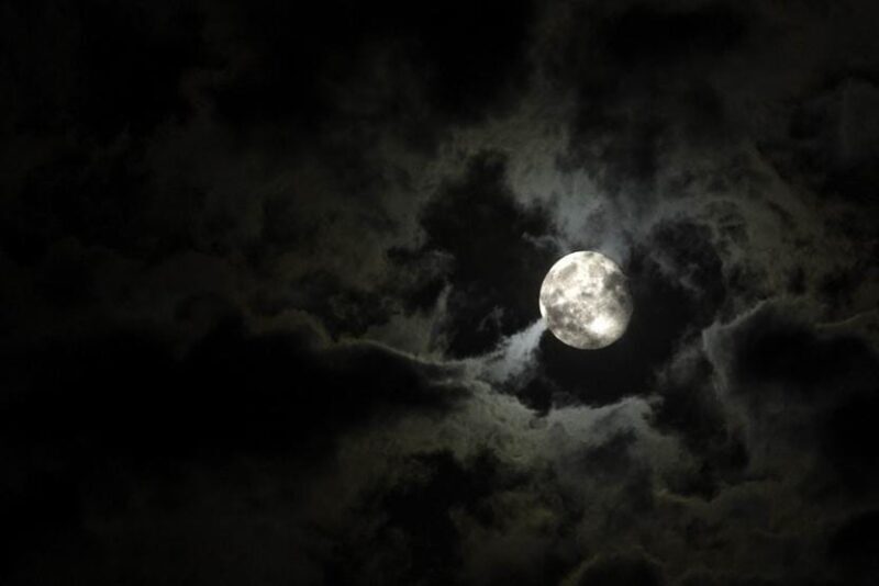 New Orleans: 2-Hour Paranormal Investigation Tour - A Closer Look at the 2-Hour Paranormal Investigation Tour